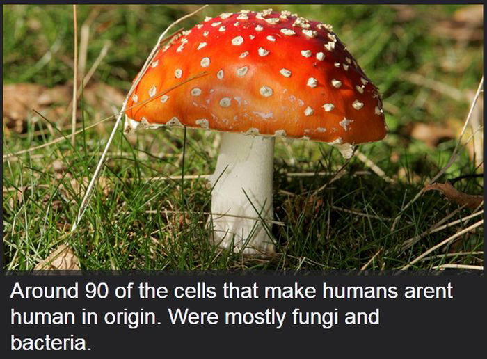 Facts You Didn't Know About The Human Body (19 pics)
