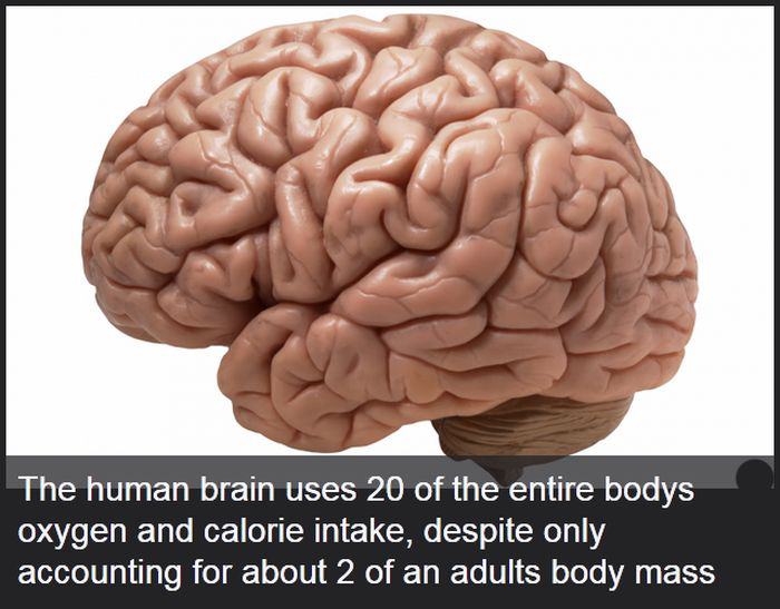 Facts You Didn't Know About The Human Body (19 pics)