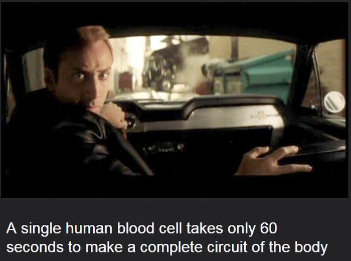 Facts You Didn't Know About The Human Body (19 pics)