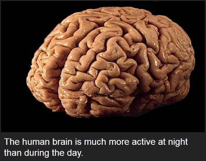 Facts You Didn't Know About The Human Body (19 pics)