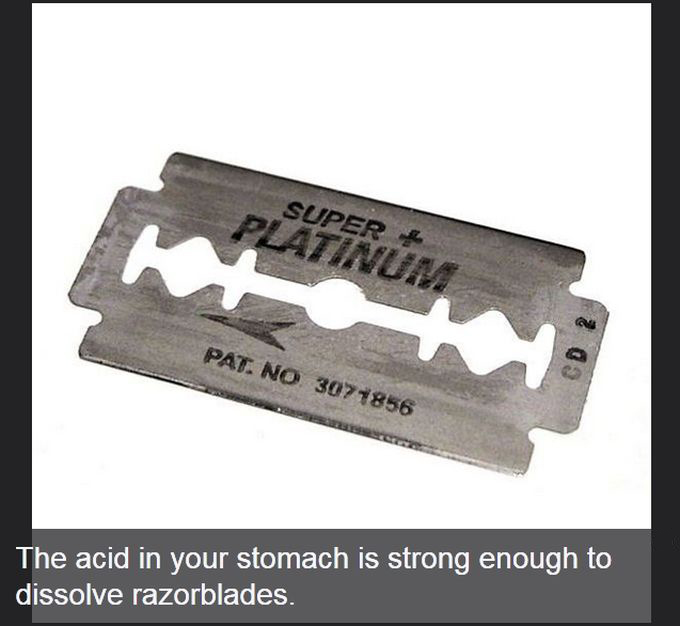Facts You Didn't Know About The Human Body (19 pics)