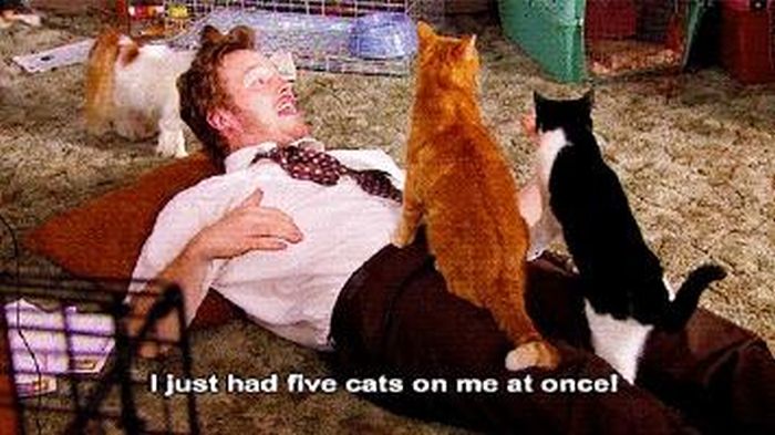 Great Moments From Chris Pratt's Andy Dwyer (24 pics)