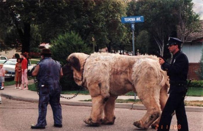Behind The Scenes Pictures From Iconic Movies (36 pics)