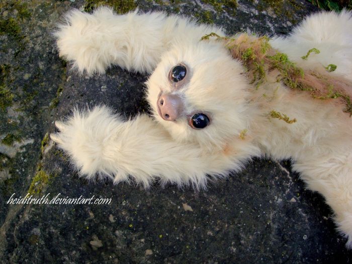 Fake Sloth That Looks So Real (19 pics)
