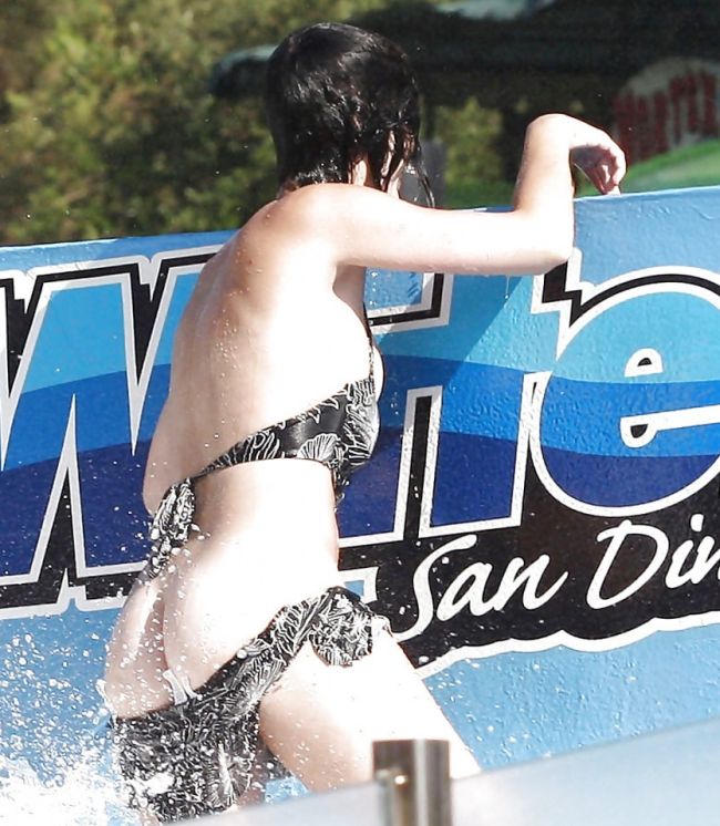 Katy Perry Loses Panties in a Water Park (8 pics)