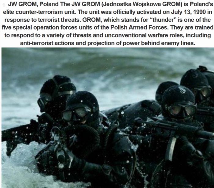 Top 10 Best Special Forces On The Planet (10 pics)