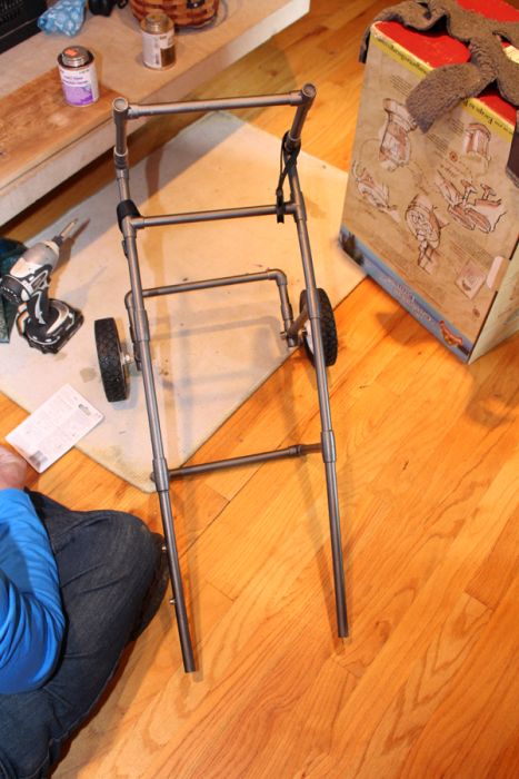 Disabled Dog Gets A Second Chance (11 pics)