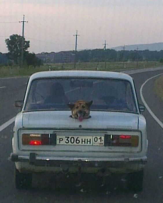 Only in Russia (42 pics)