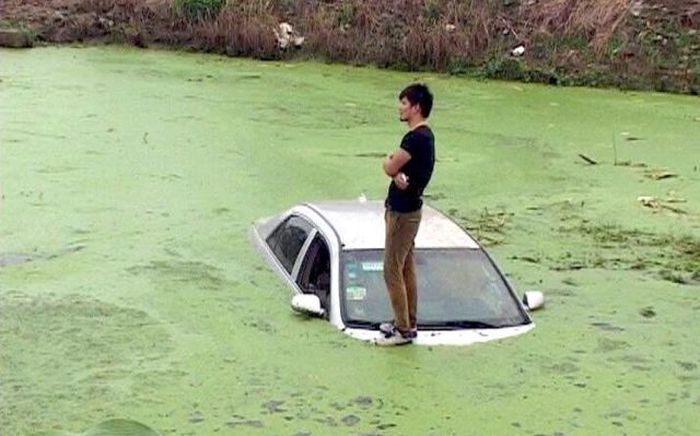 Acid Picdump (139 pics)