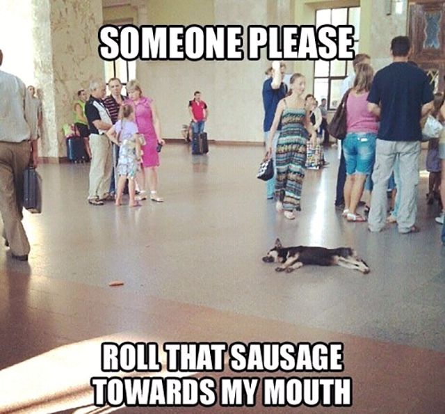 Acid Picdump (139 pics)