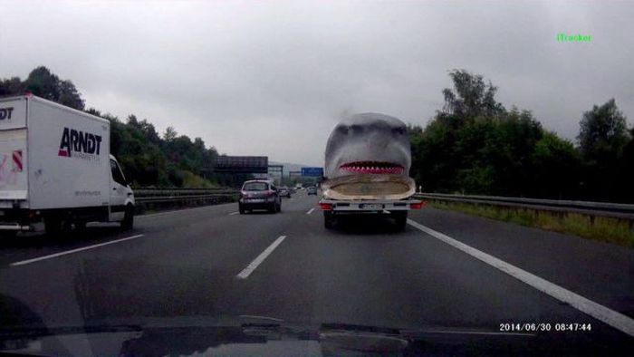 Acid Picdump (139 pics)