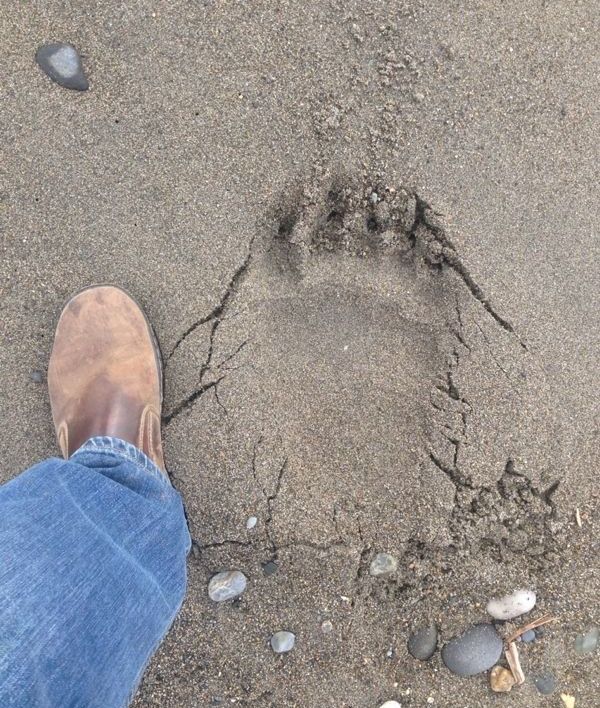 Acid Picdump (139 pics)