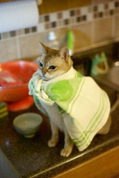 Acid Picdump (139 pics)