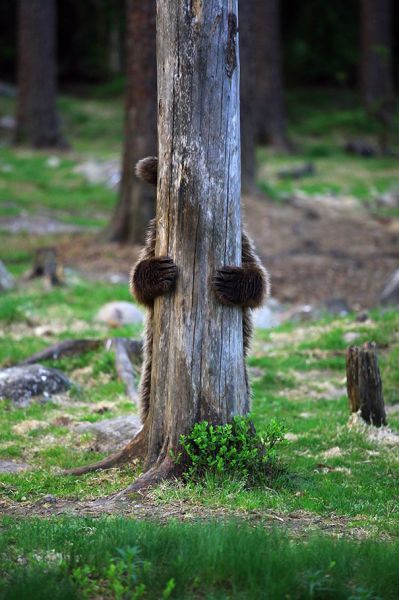 Acid Picdump (139 pics)