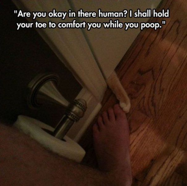 Acid Picdump (139 pics)