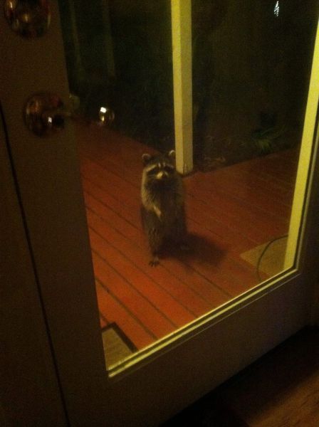 Acid Picdump (139 pics)