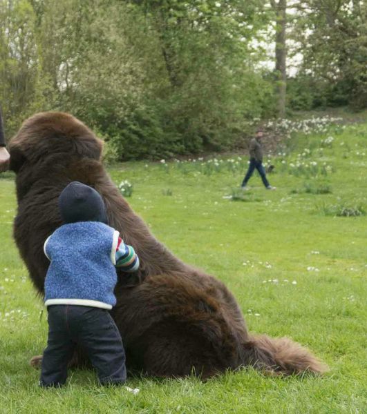Acid Picdump (139 pics)