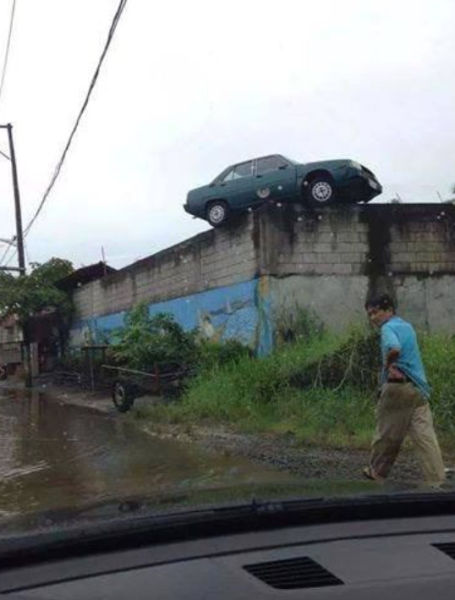 Acid Picdump (139 pics)