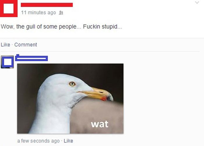 Facepalm Moments. Part 11 (45 pics)