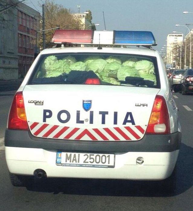 Facepalm Moments. Part 11 (45 pics)