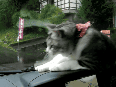 Facepalm Moments. Part 11 (45 pics)