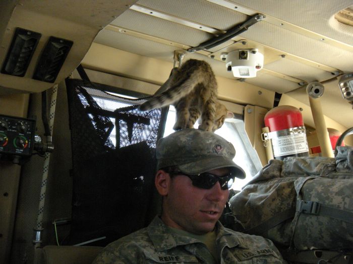 The Life Of Soldiers In Iraq and Afghanistan (101 pics)