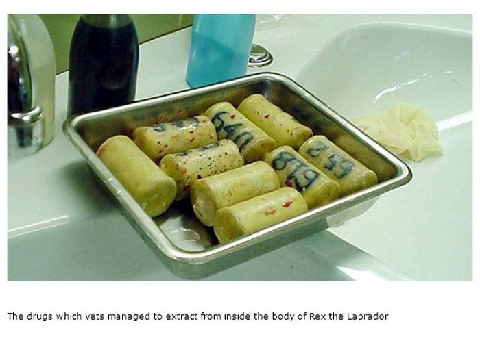 Strange Things People Have Used To Smuggle Drugs (15 pics)