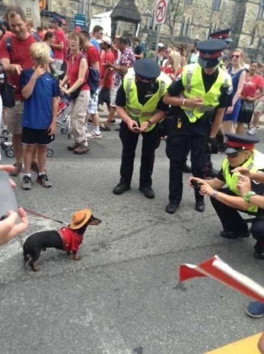 Sometimes Cops Can Be Fun Too (40 pics)