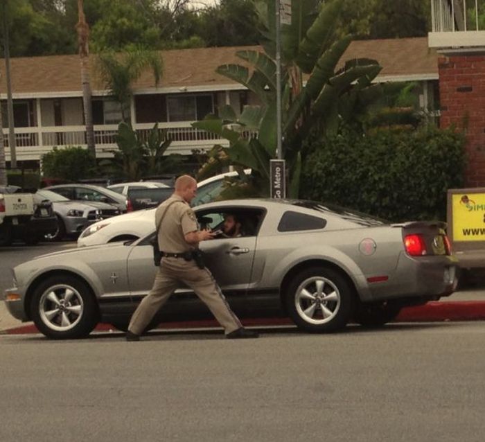 Sometimes Cops Can Be Fun Too (40 pics)