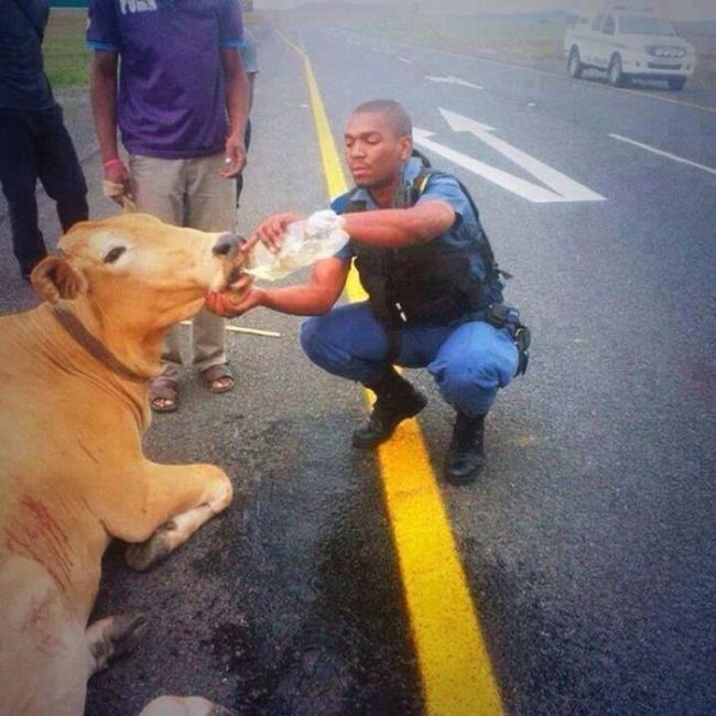 Sometimes Cops Can Be Fun Too (40 pics)