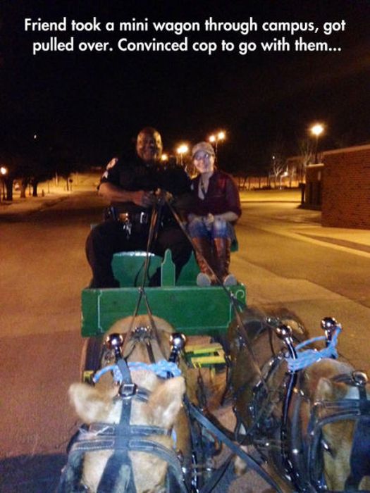 Sometimes Cops Can Be Fun Too (40 pics)