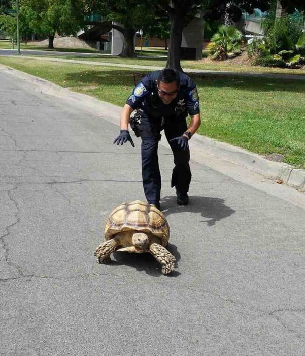 Sometimes Cops Can Be Fun Too (40 pics)