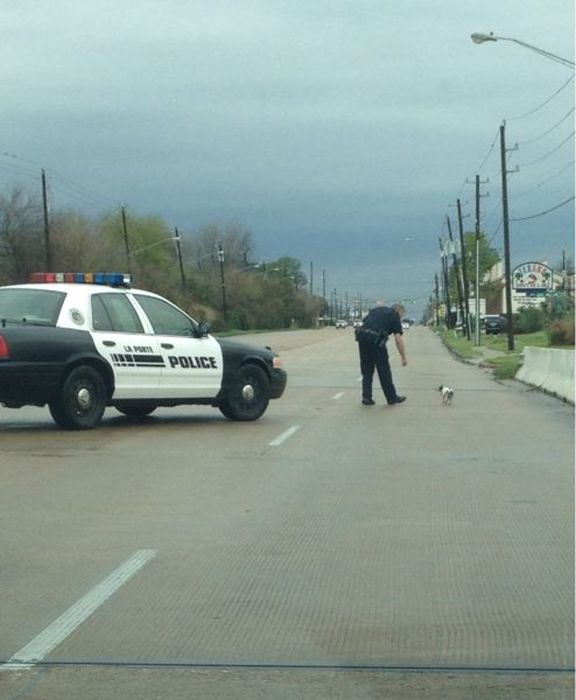 Sometimes Cops Can Be Fun Too (40 pics)