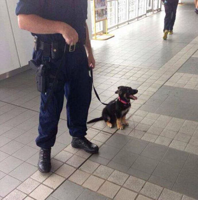 Sometimes Cops Can Be Fun Too (40 pics)
