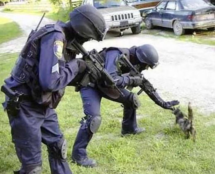 Sometimes Cops Can Be Fun Too (40 pics)