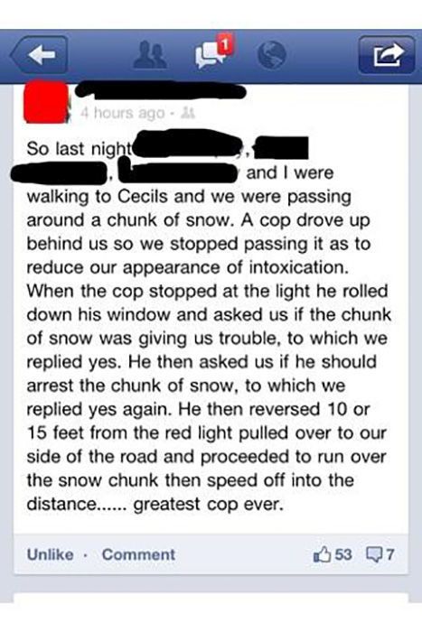 Sometimes Cops Can Be Fun Too (40 pics)