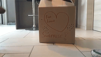 Acid Gifdump, August 18, 2014 (25 gifs)