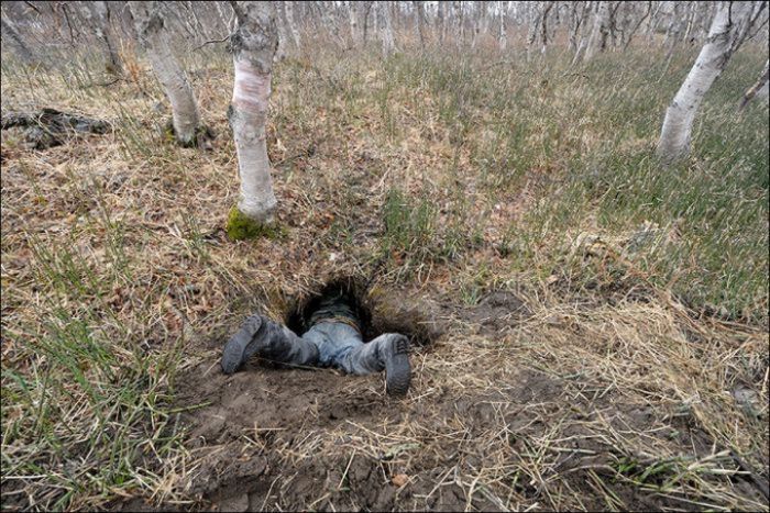 See The Inside Of A Bear Den (3 pics)