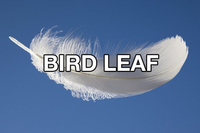 What Stoners Call Everyday Objects (11 pics)