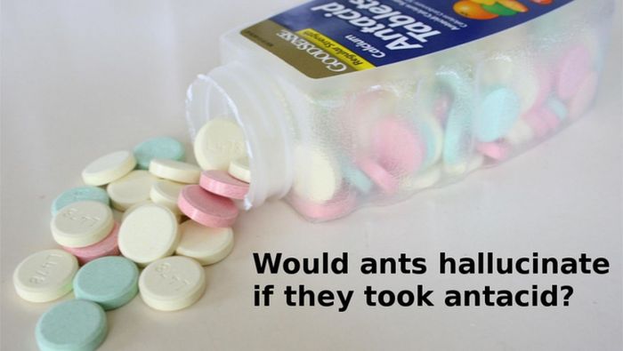 Dumb Science Questions That Need Answers (25 pics)