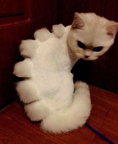 Acid Picdump (147 pics)