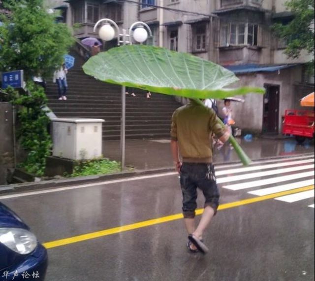 Acid Picdump (147 pics)