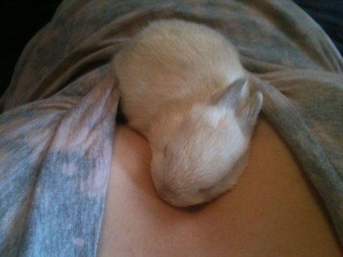 Acid Picdump (147 pics)