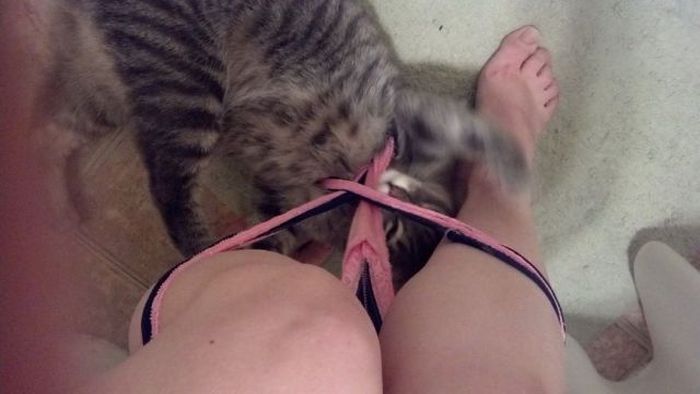 Acid Picdump (147 pics)