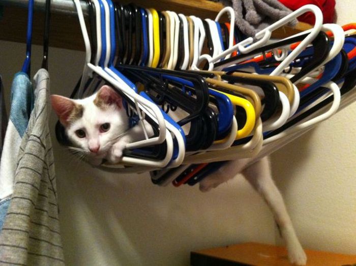 Acid Picdump (147 pics)