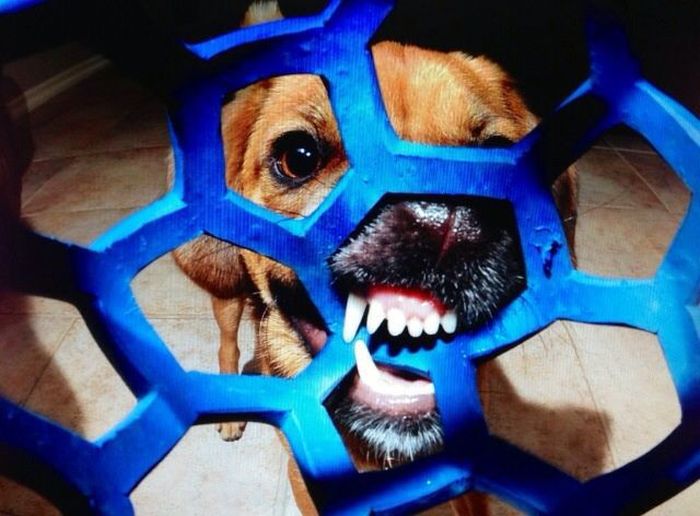 Acid Picdump (147 pics)