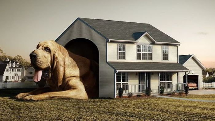 Acid Picdump (147 pics)