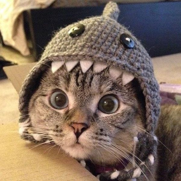 Acid Picdump (147 pics)