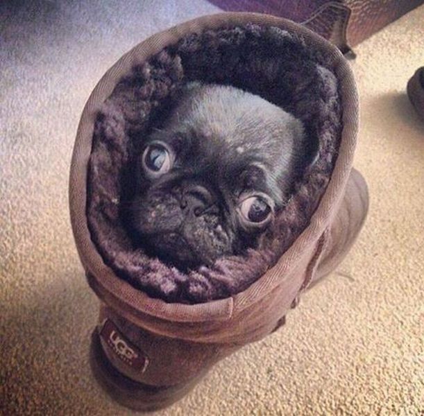 Acid Picdump (147 pics)