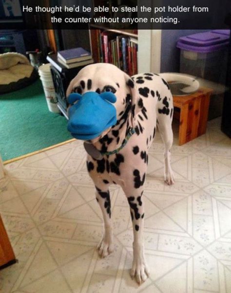 Acid Picdump (147 pics)